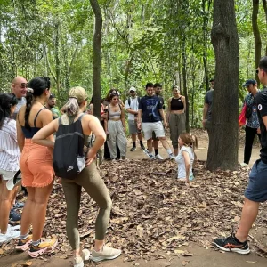 Alternative view of Cu Chi Tunnels & Mekong Delta Full Day Tour