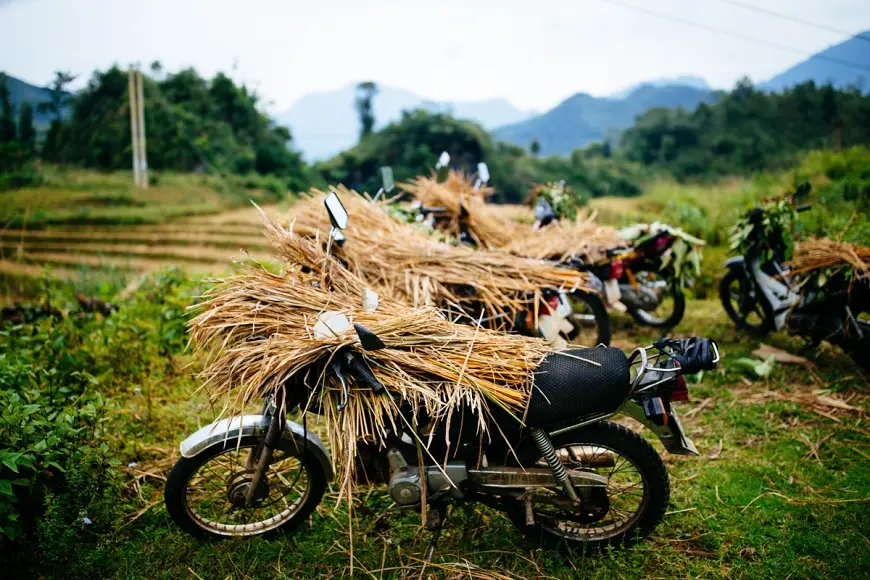 Transport within Vietnam